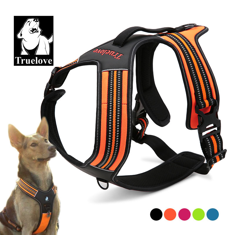 Arnés para Perro Truelove Spor - Outdoor Adventure Xl reseña y precio