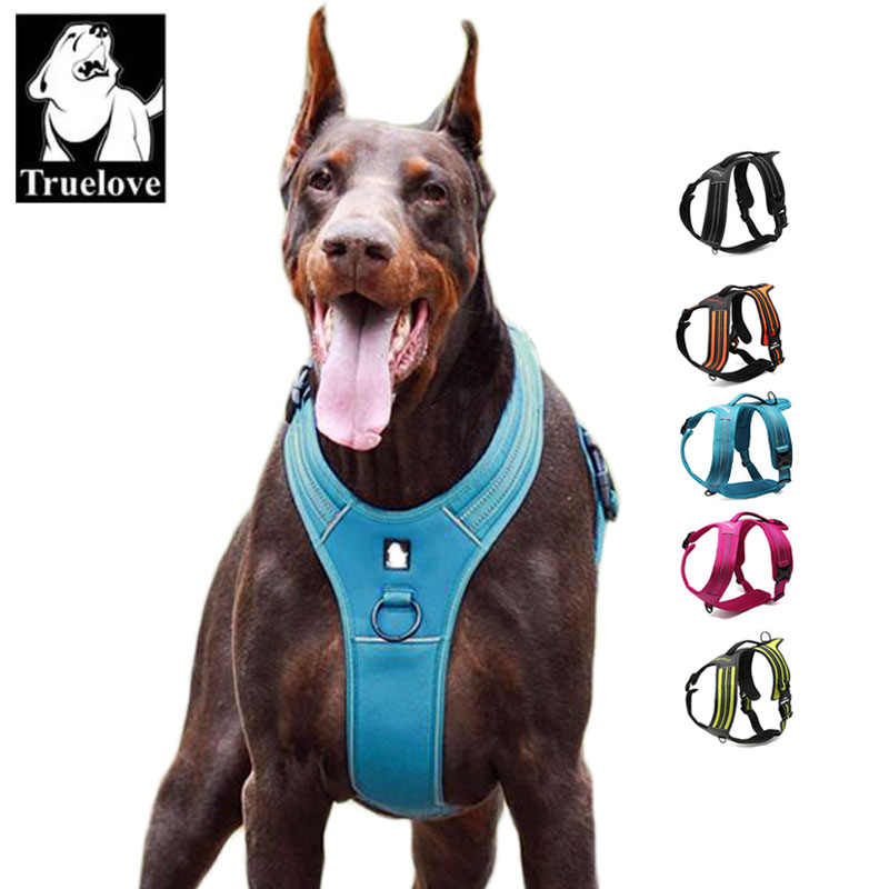 Arnés para Perro Truelove Spor - Outdoor Adventure Xl reseña y precio